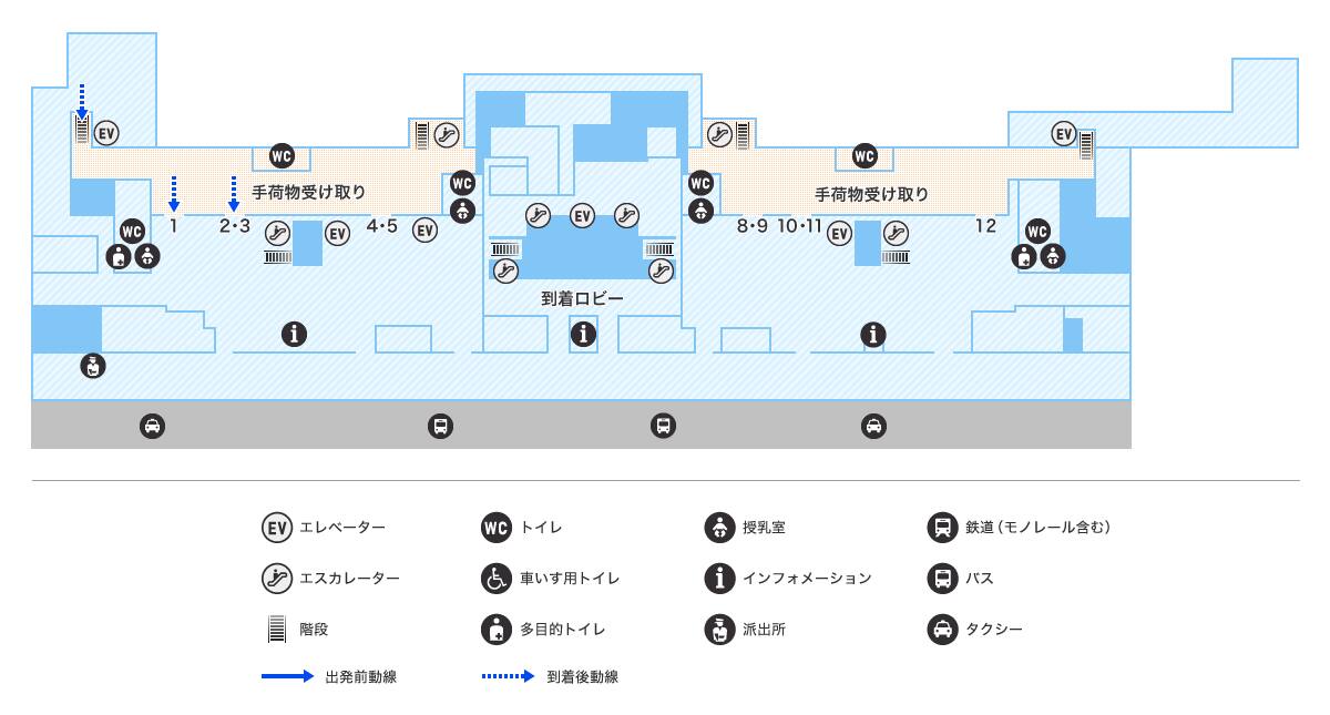 MAP画像