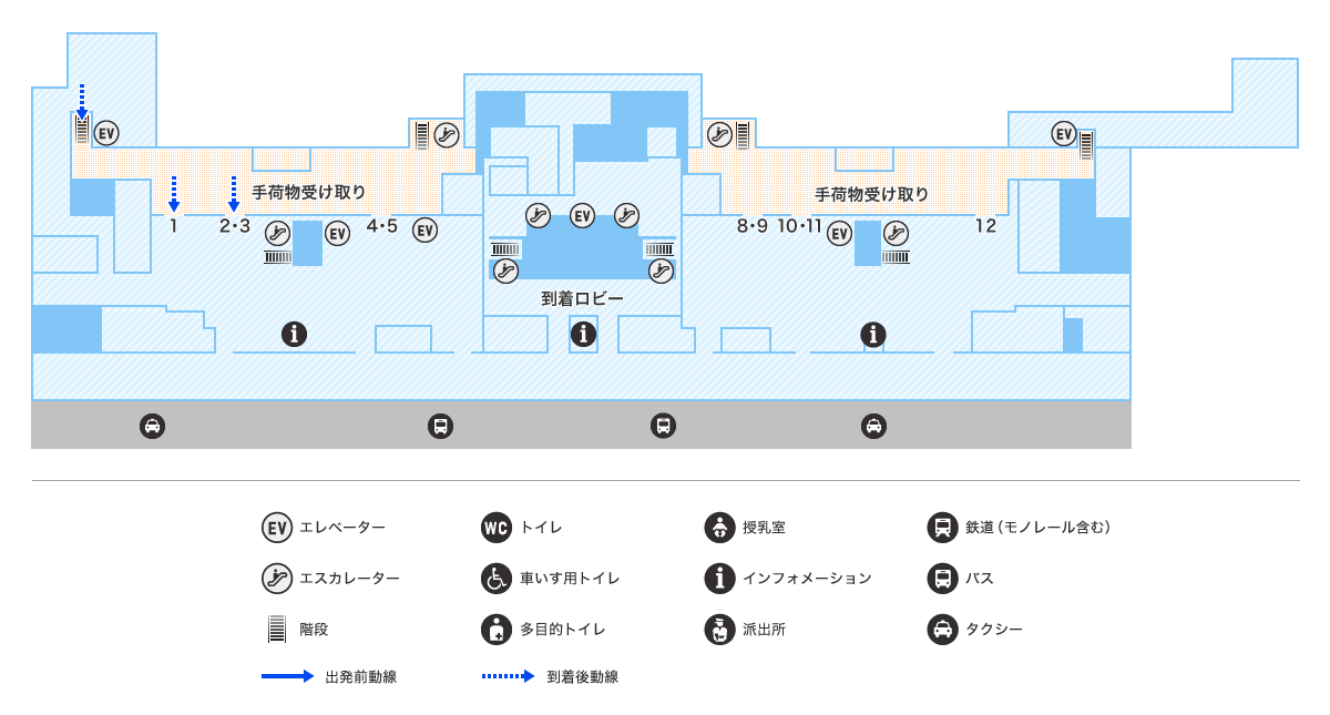 MAP画像