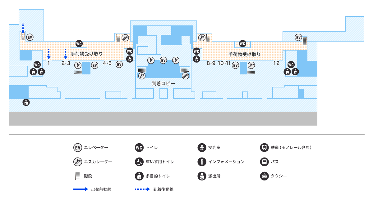 MAP画像