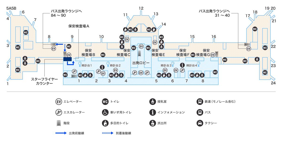 MAP画像