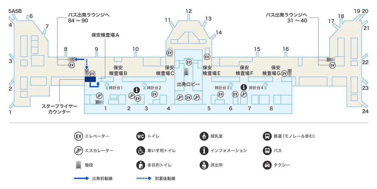 MAP画像
