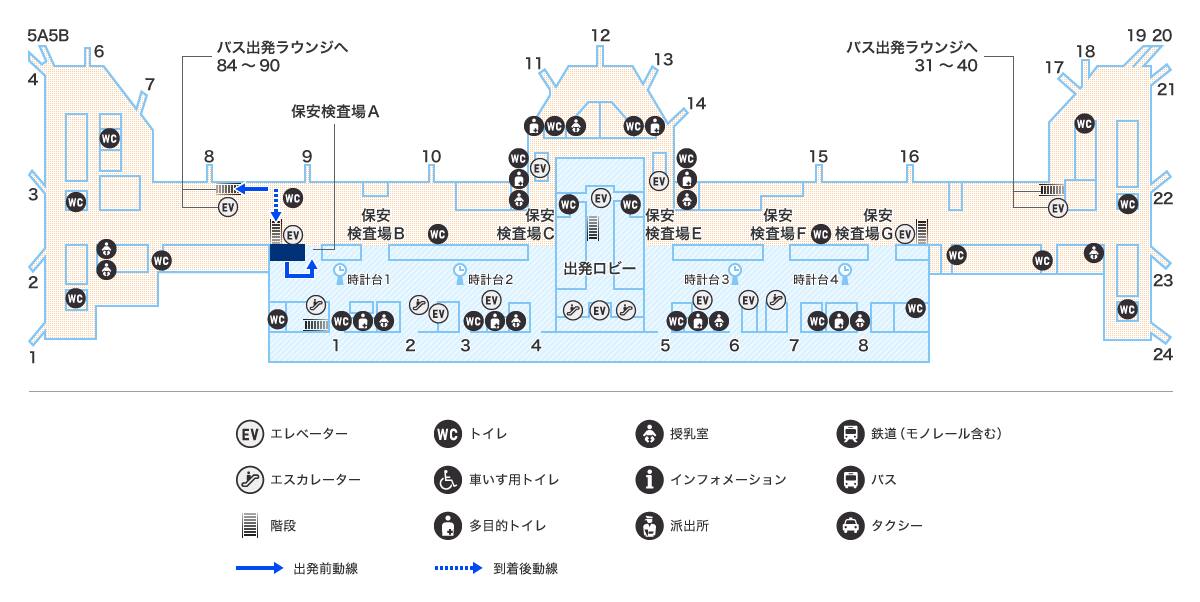 MAP画像