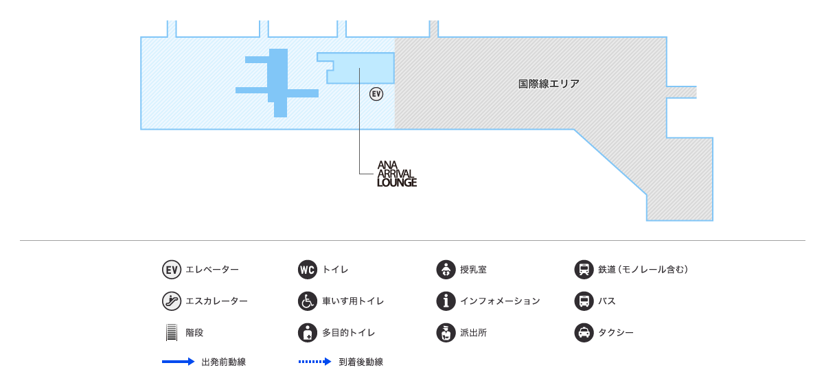 MAP画像
