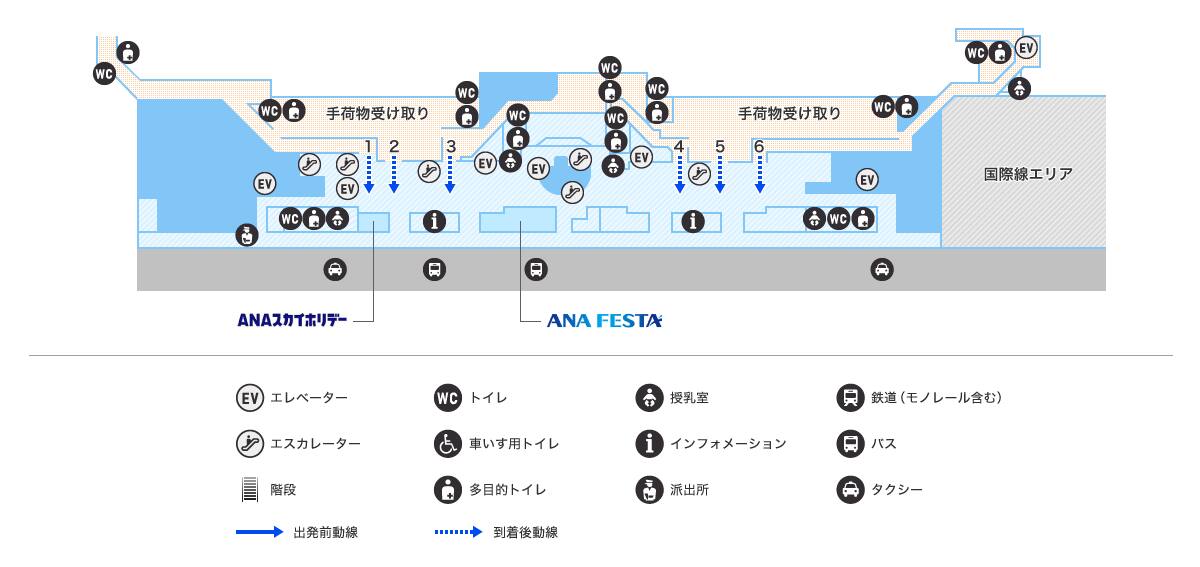 MAP画像