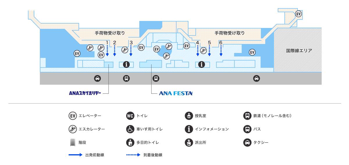 MAP画像