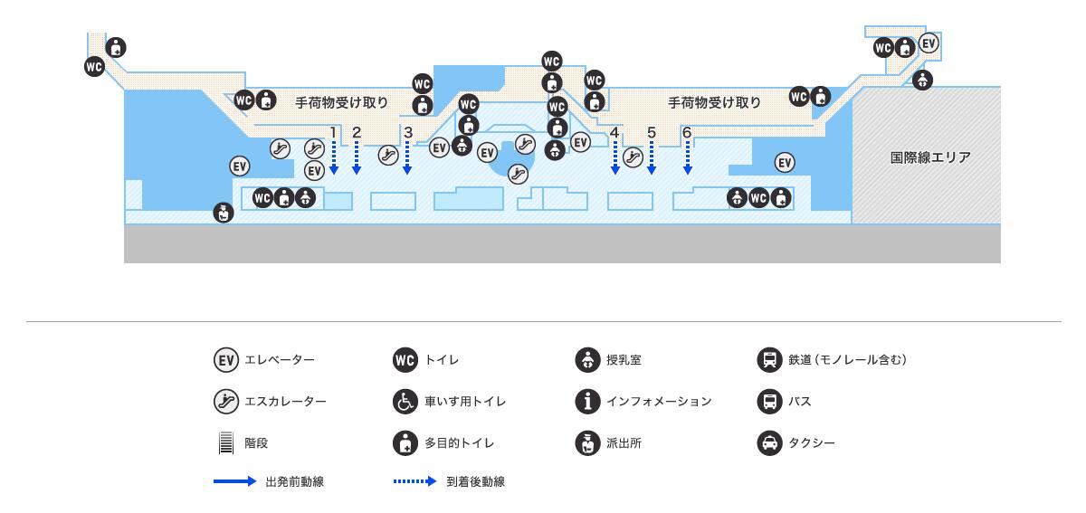 MAP画像