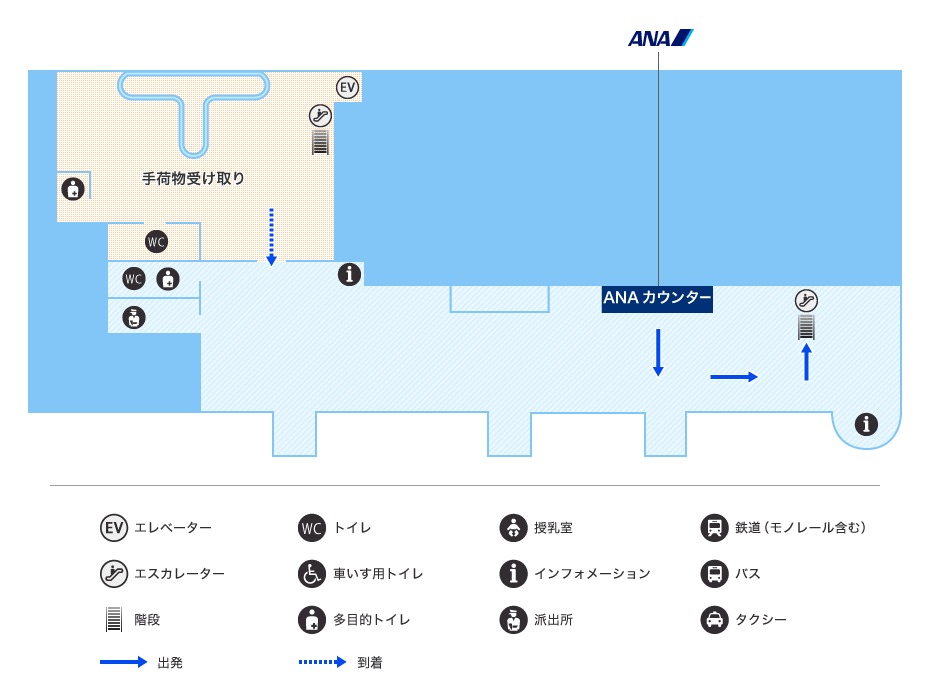 MAP画像