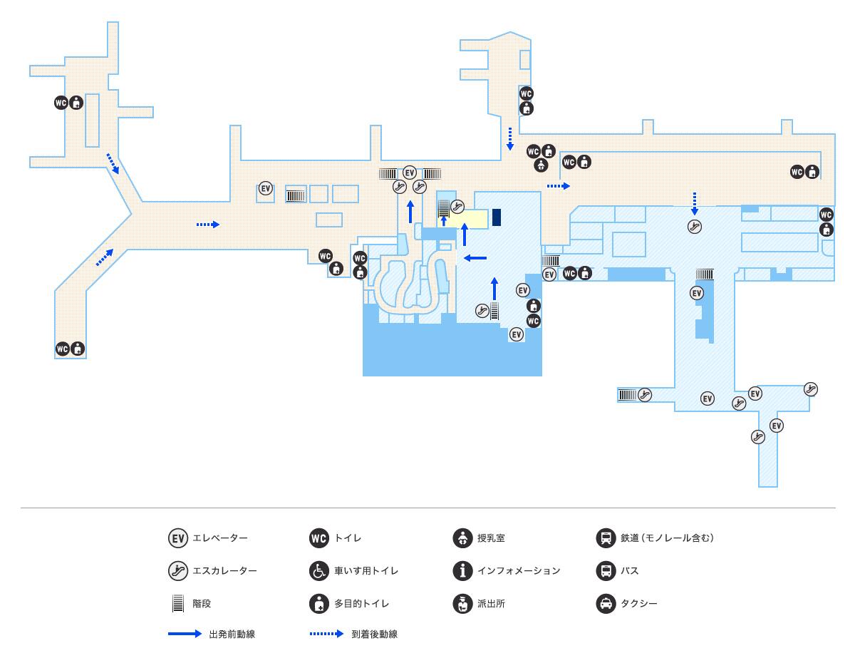 MAP画像