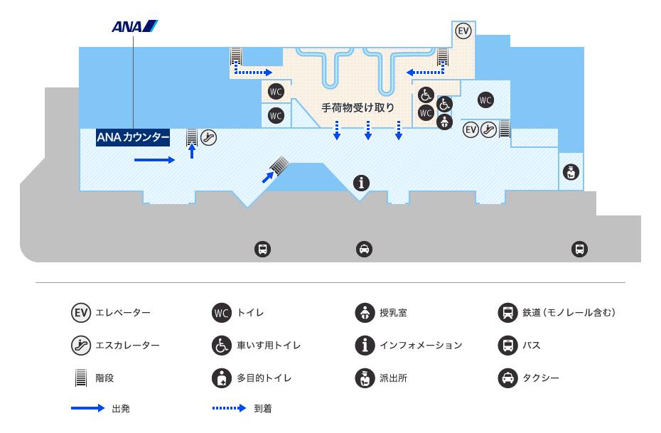 MAP画像