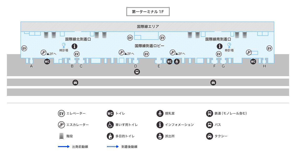 MAP画像