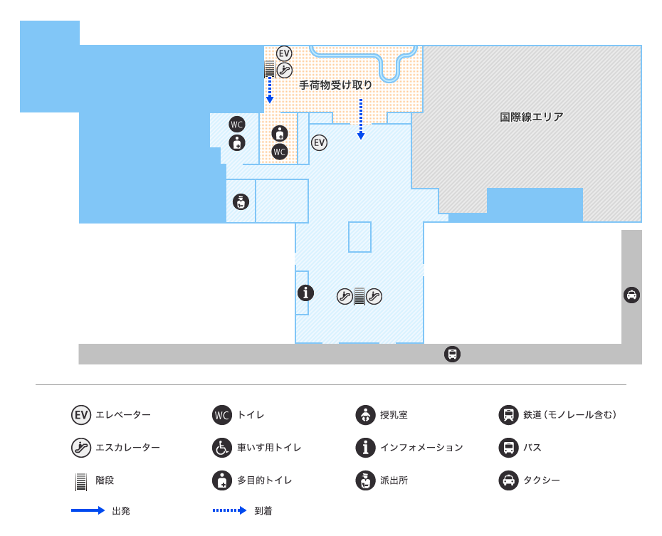 MAP画像