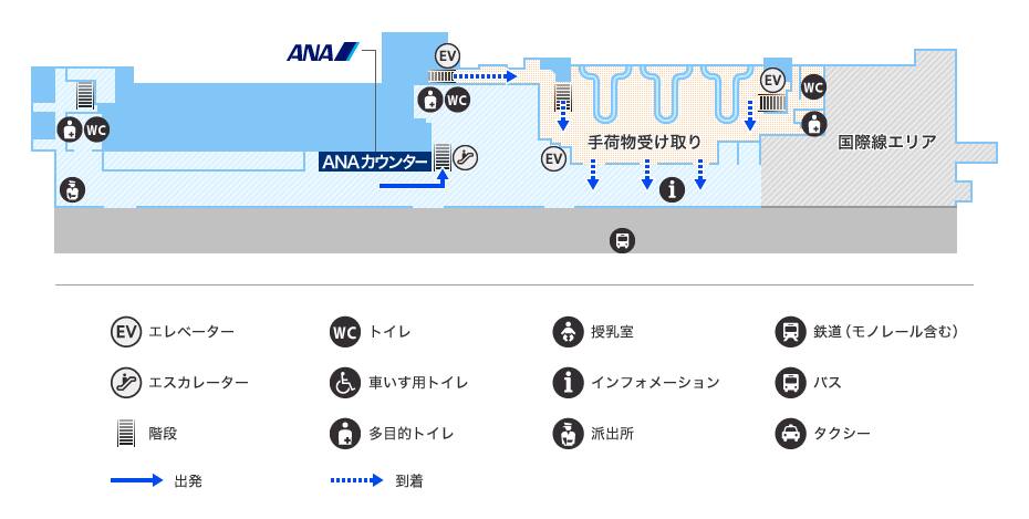 MAP画像