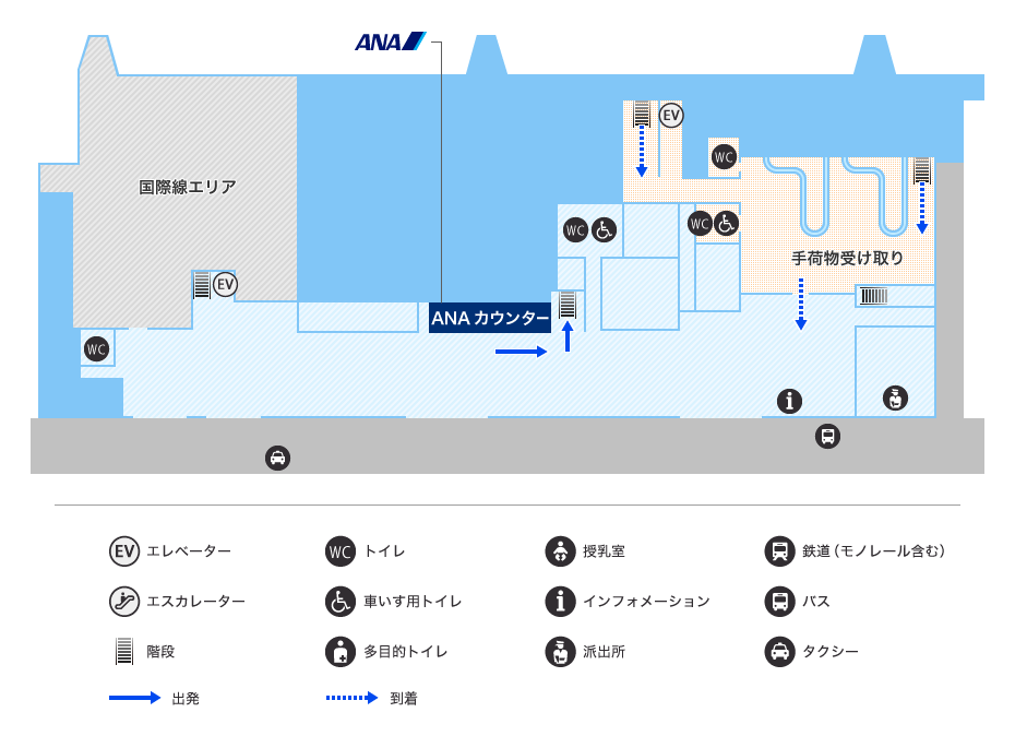 MAP画像