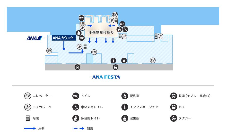 MAP画像