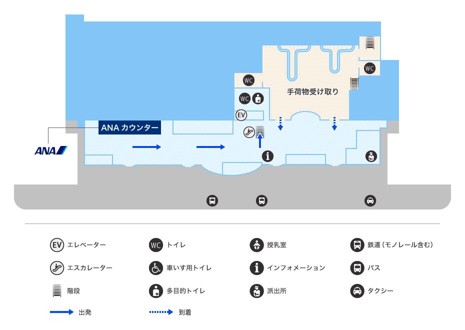 MAP画像