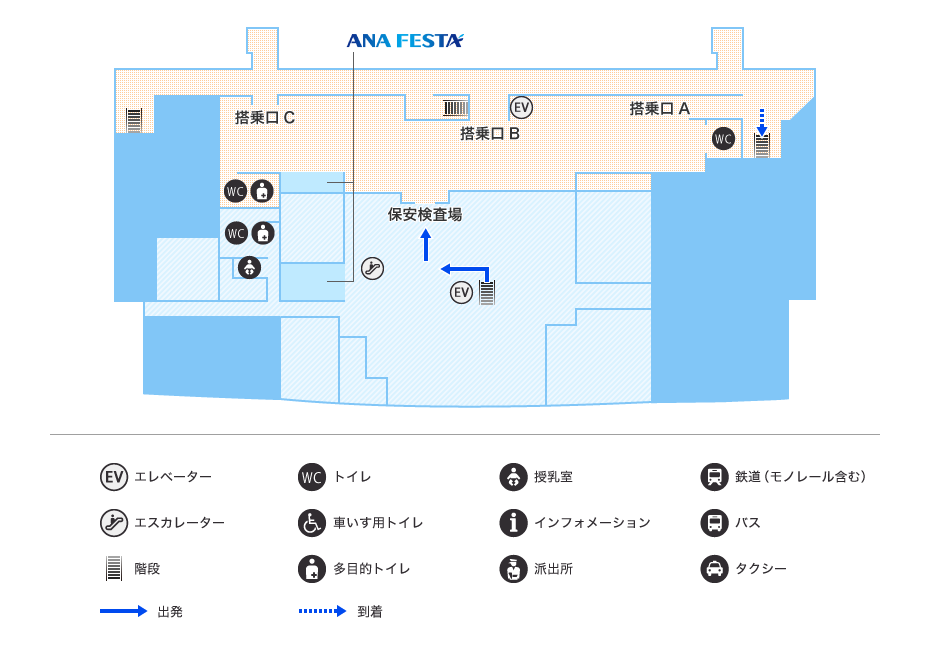 MAP画像