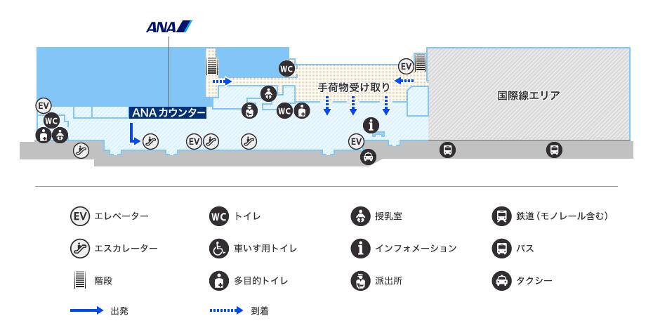 MAP画像