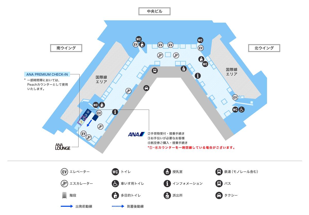 MAP画像