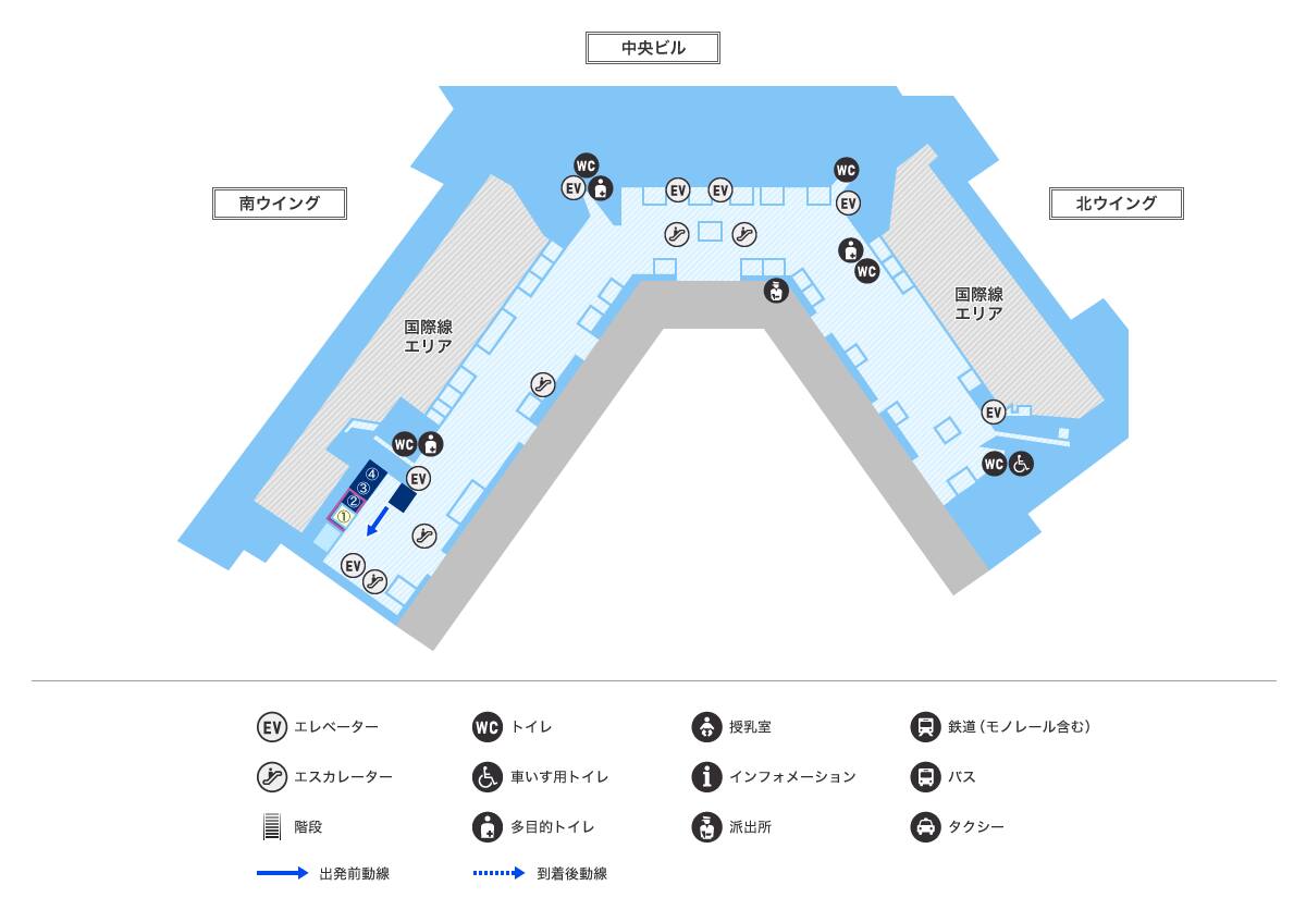 MAP画像