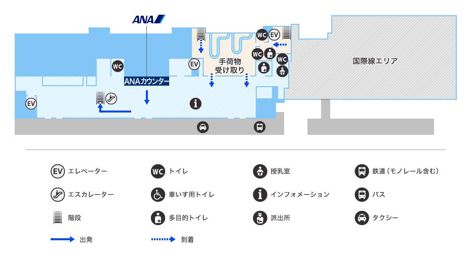 MAP画像