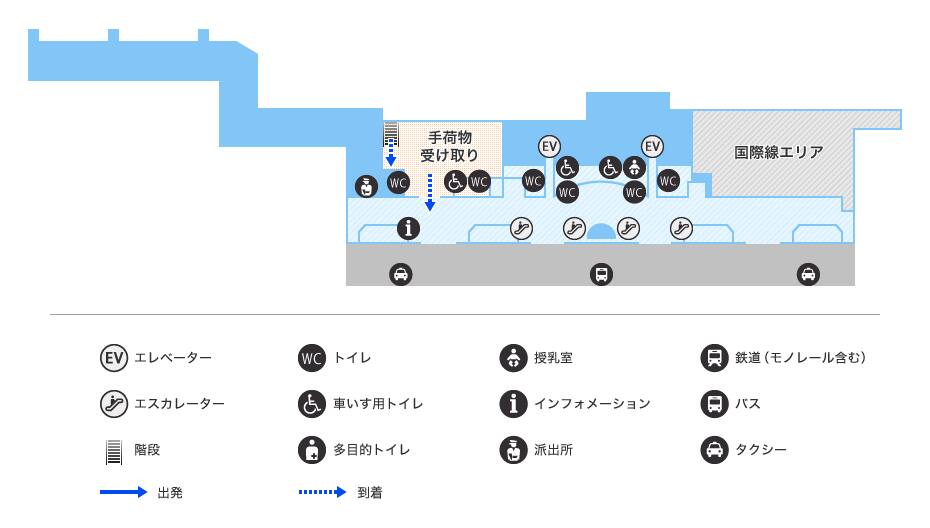 MAP画像
