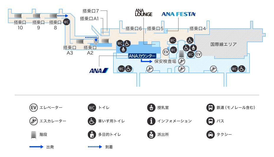 MAP画像