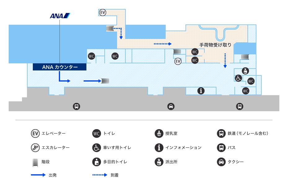 MAP画像