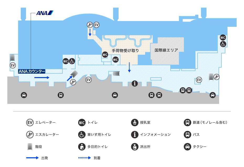 MAP画像
