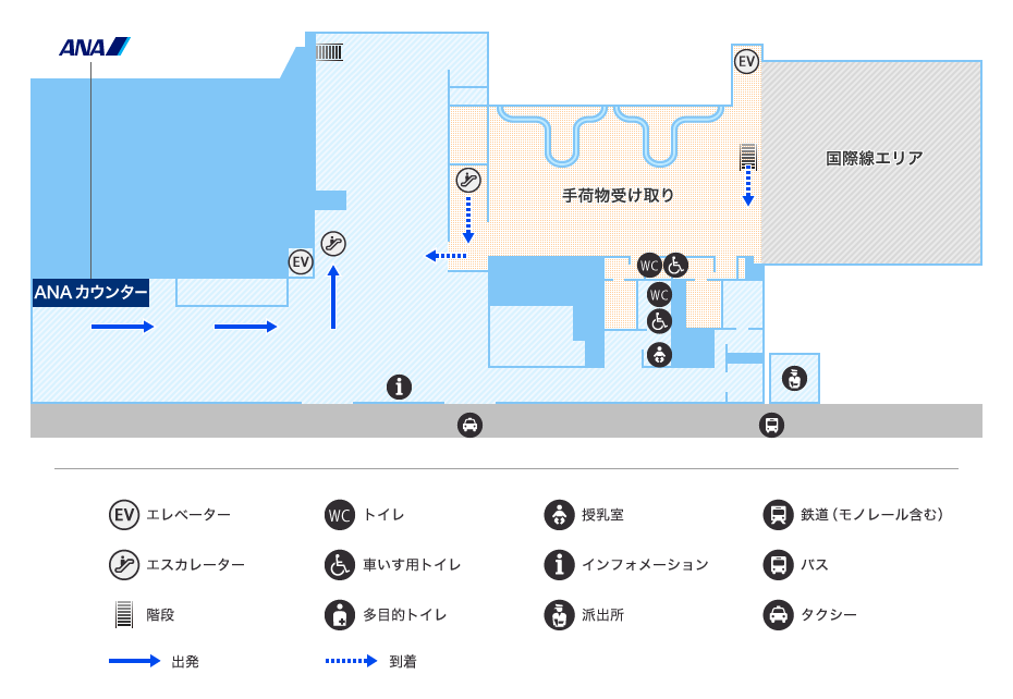 MAP画像