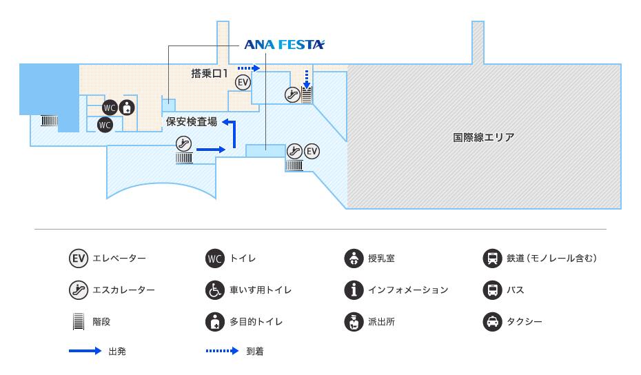 MAP画像