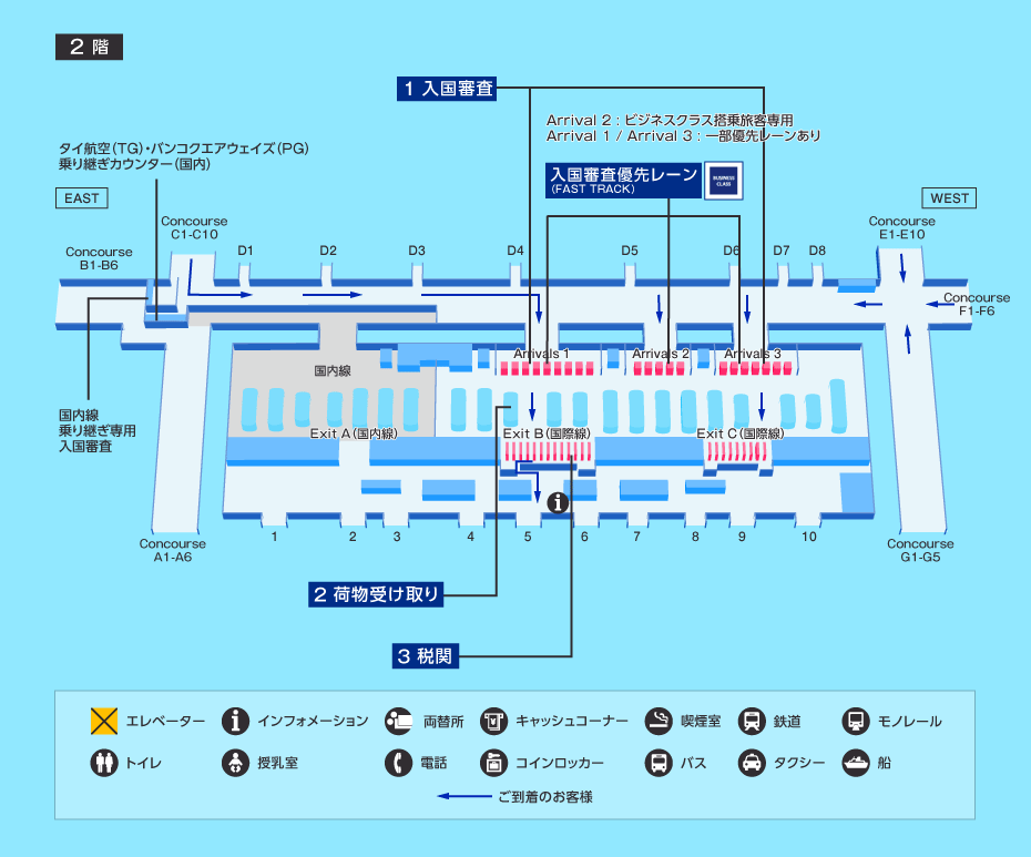 MAP画像