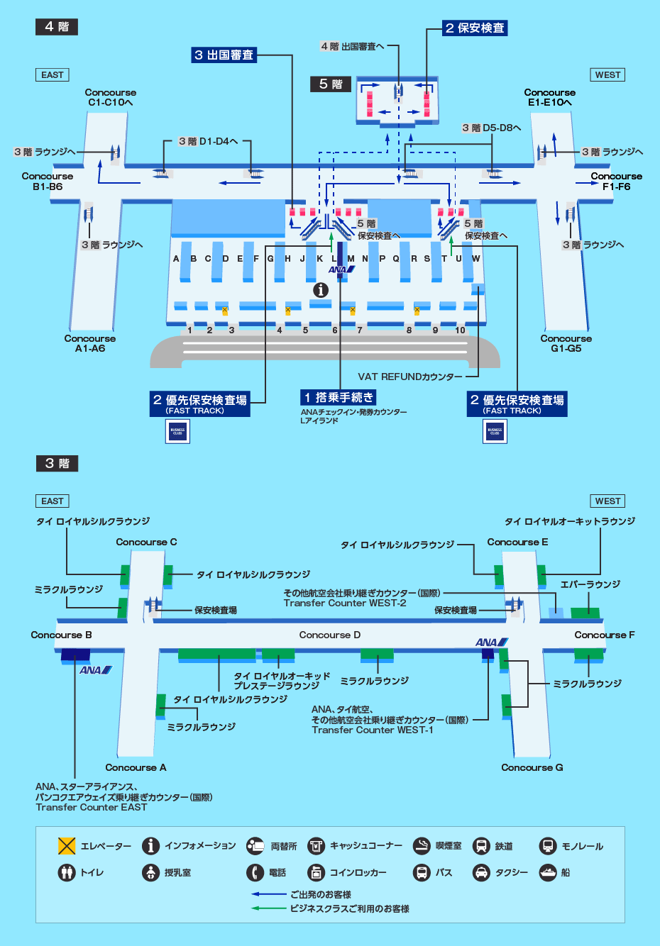 MAP画像
