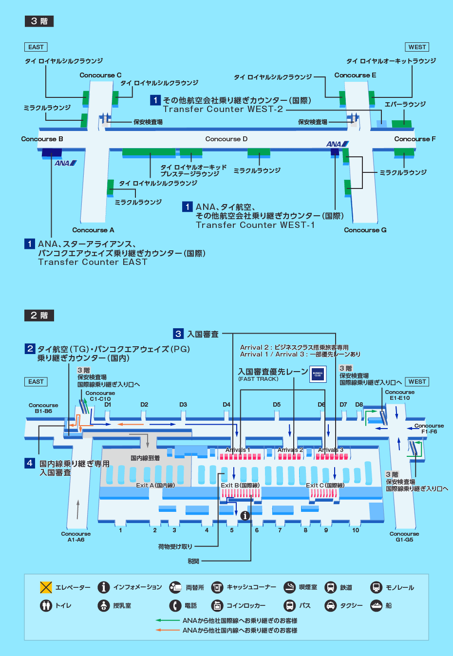 MAP画像