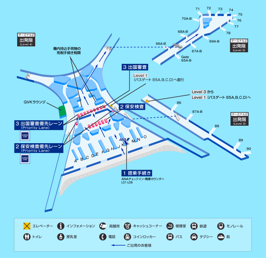 MAP画像