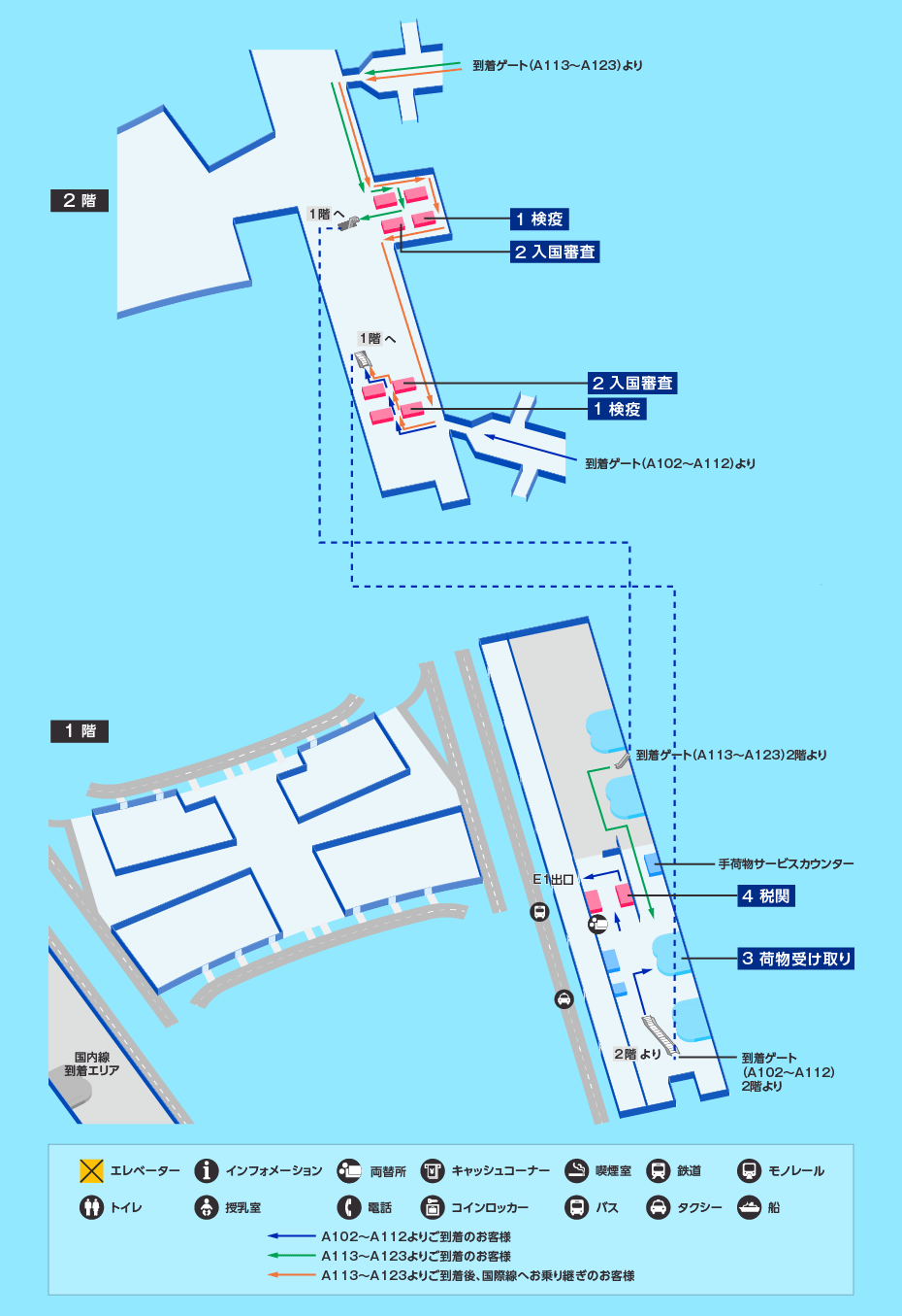 MAP画像