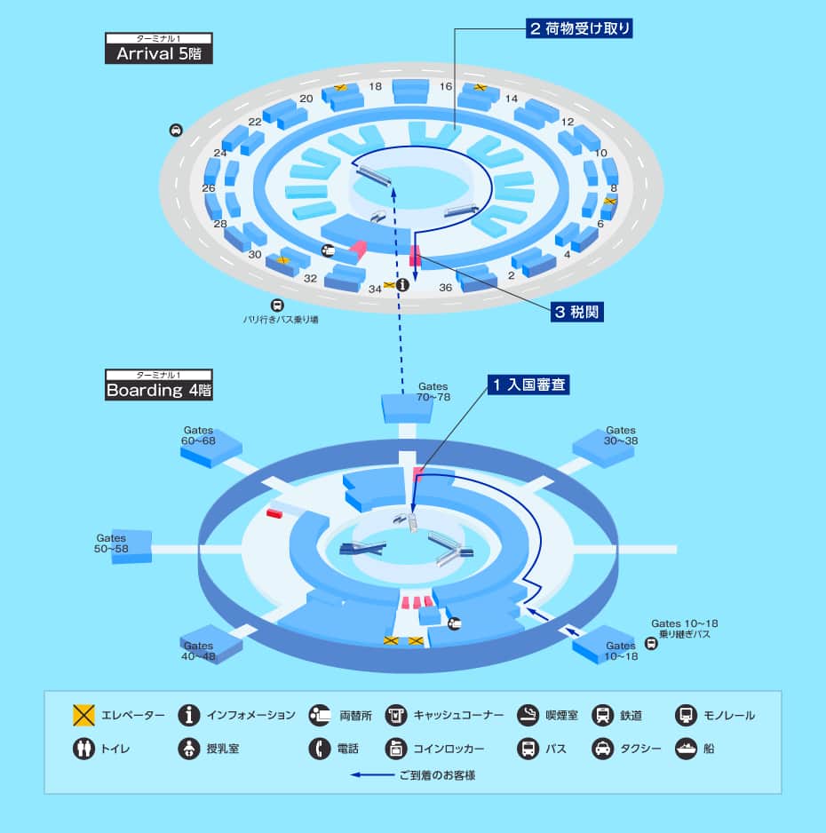 MAP画像
