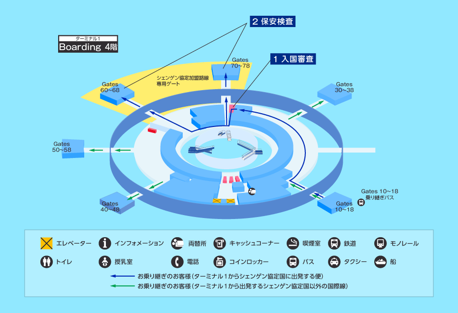 MAP画像