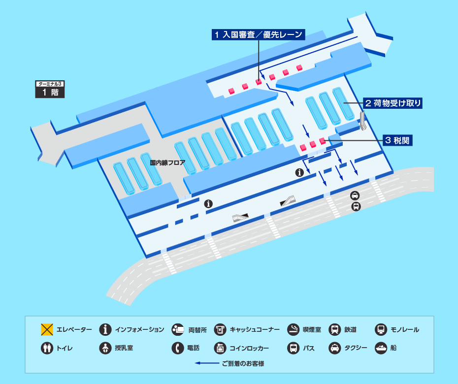 MAP画像