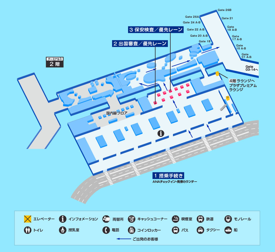 MAP画像