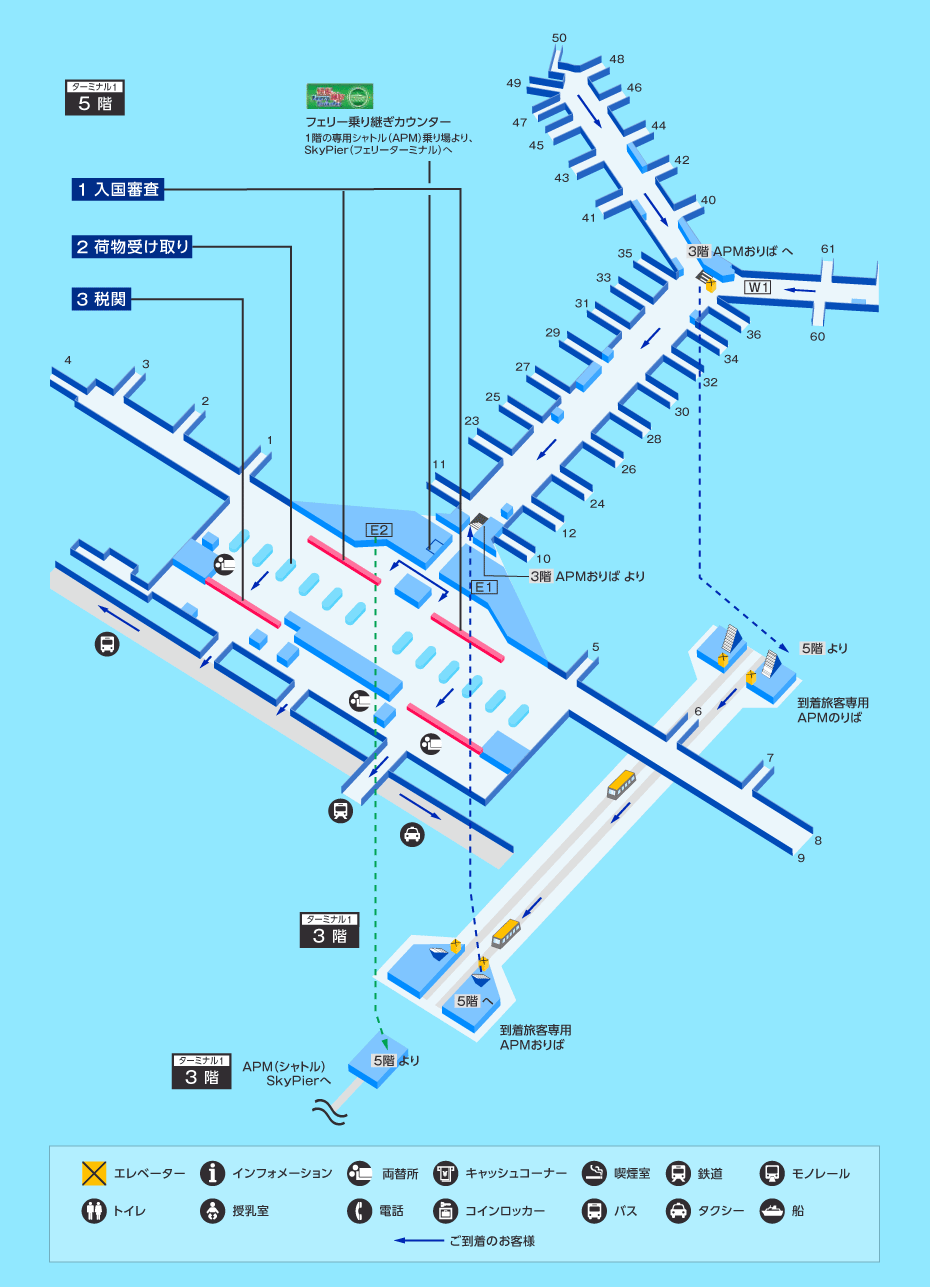MAP画像