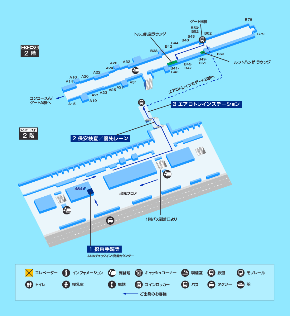 MAP画像