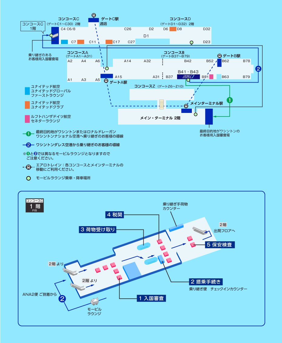 MAP画像
