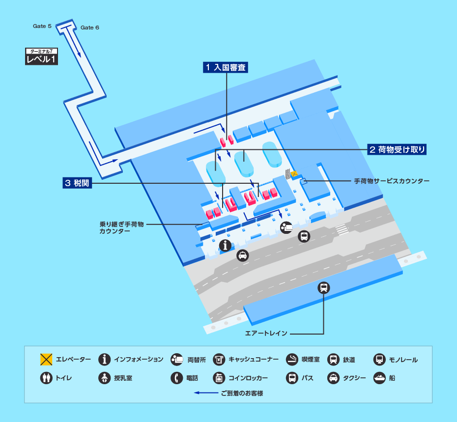 MAP画像