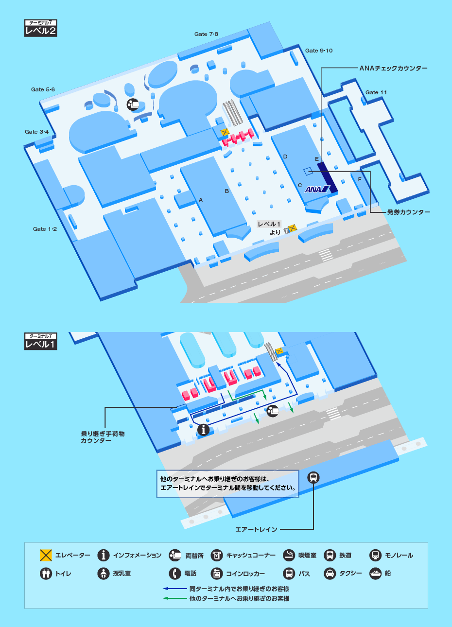 MAP画像