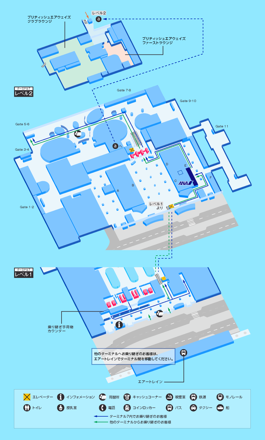 MAP画像