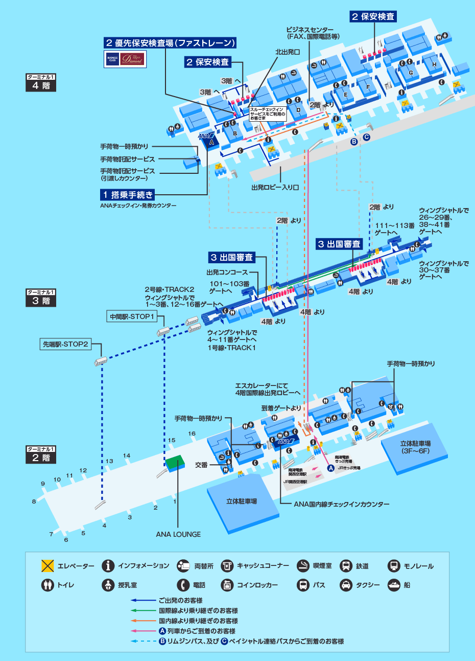 MAP画像