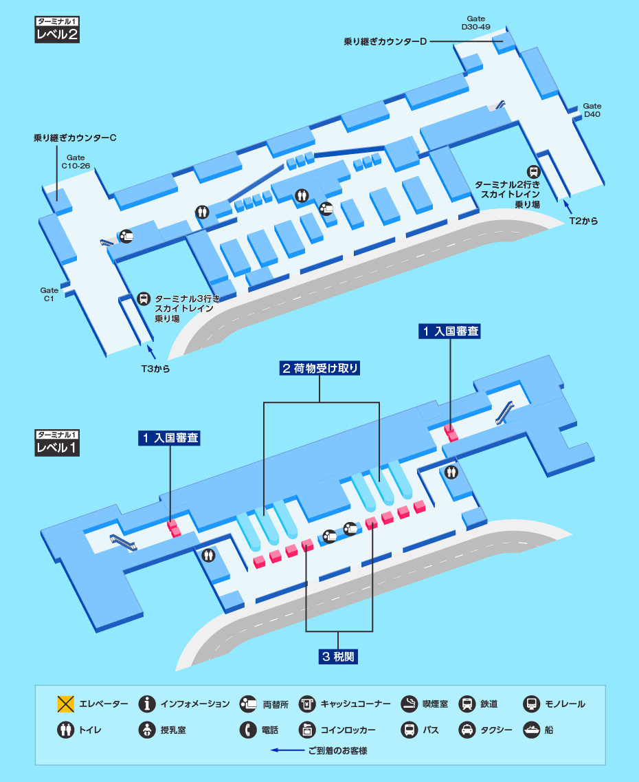 MAP画像