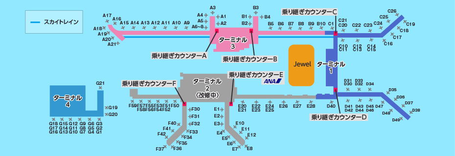 MAP画像