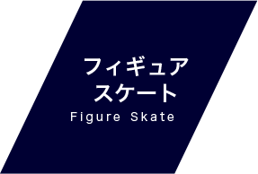 フィギュアスケート