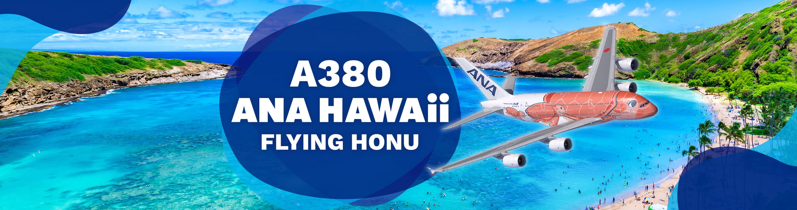A380 ANA HAWAii FLYING HONU